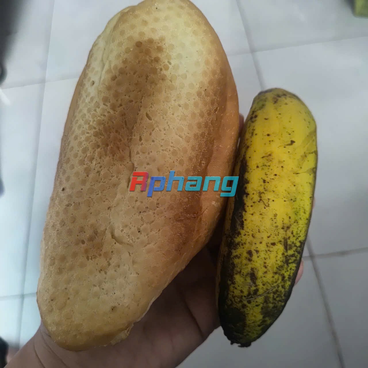 1000012286.jpg