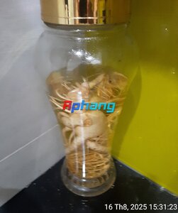 IMG_0948.jpeg