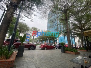 IMG_0965.jpeg
