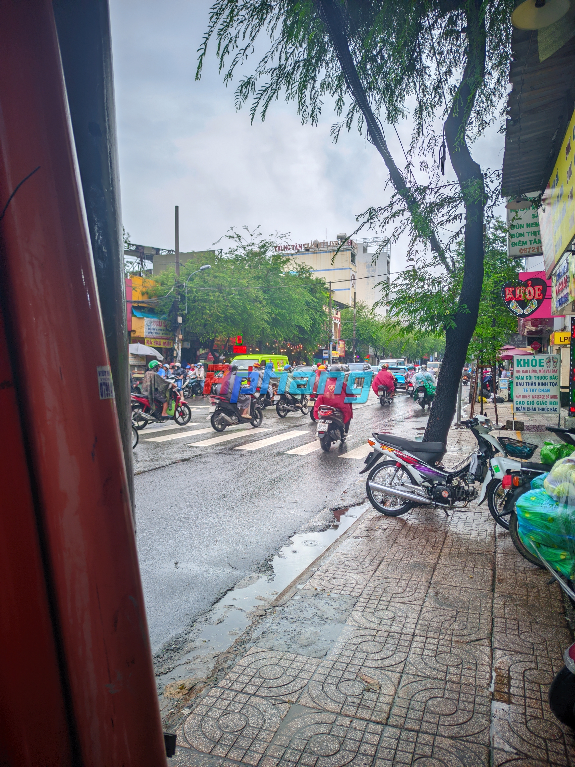 px20250927_155554736.jpg