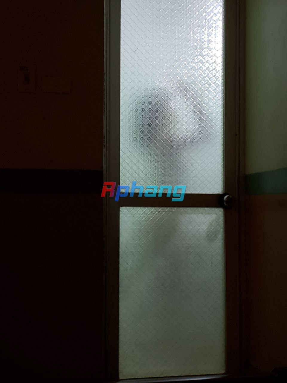 IMG_9461.jpeg