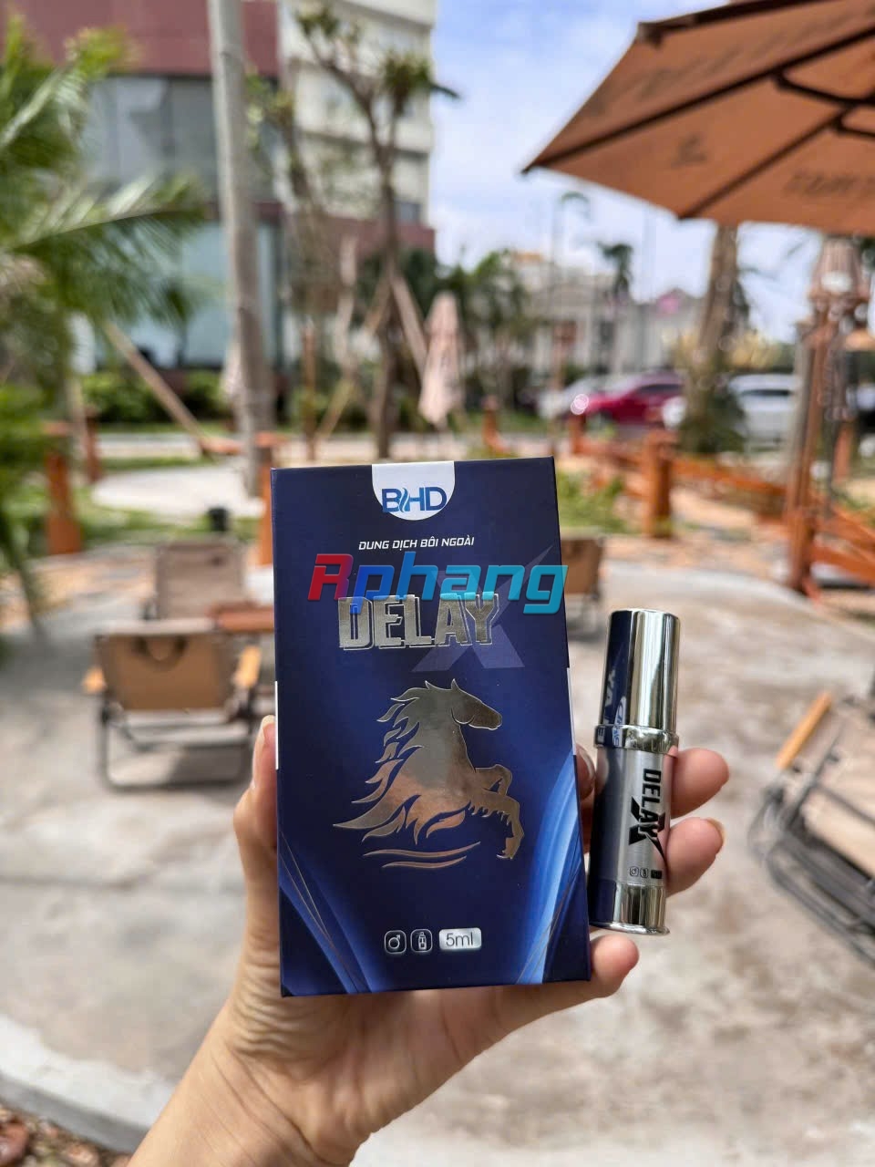 1000010370.jpg