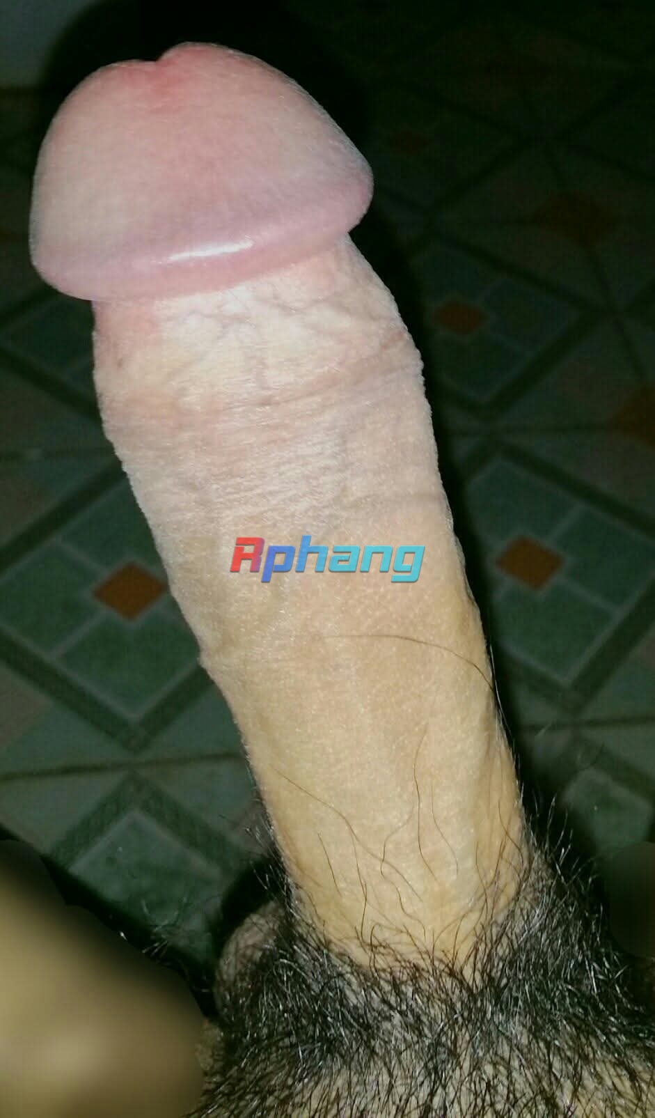 6708c242872afe10a9ee26841cd1df2d.jpeg