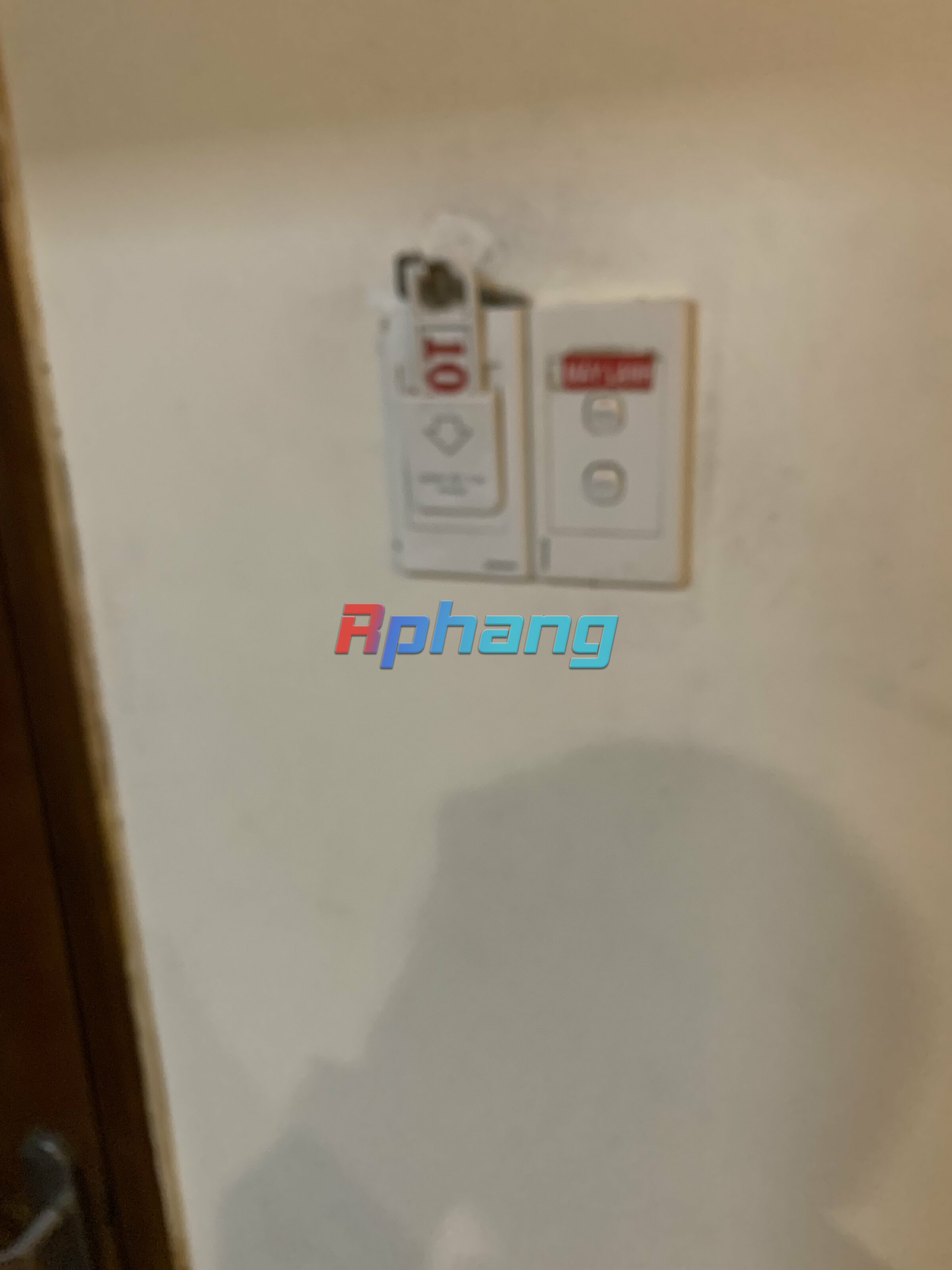 IMG_4917.jpeg