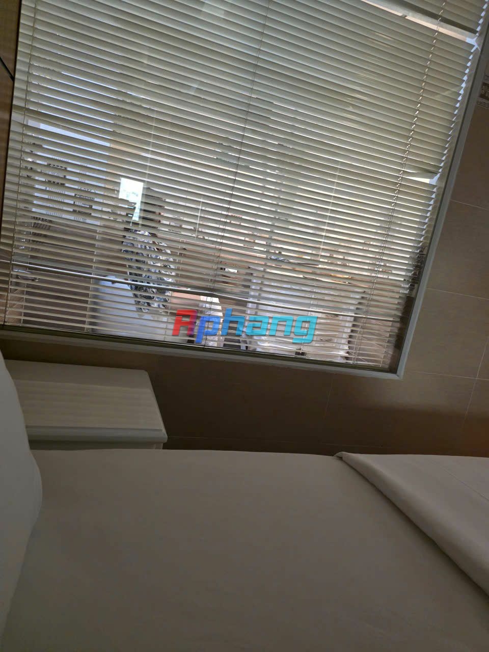 IMG_20251103_231918_657.jpg
