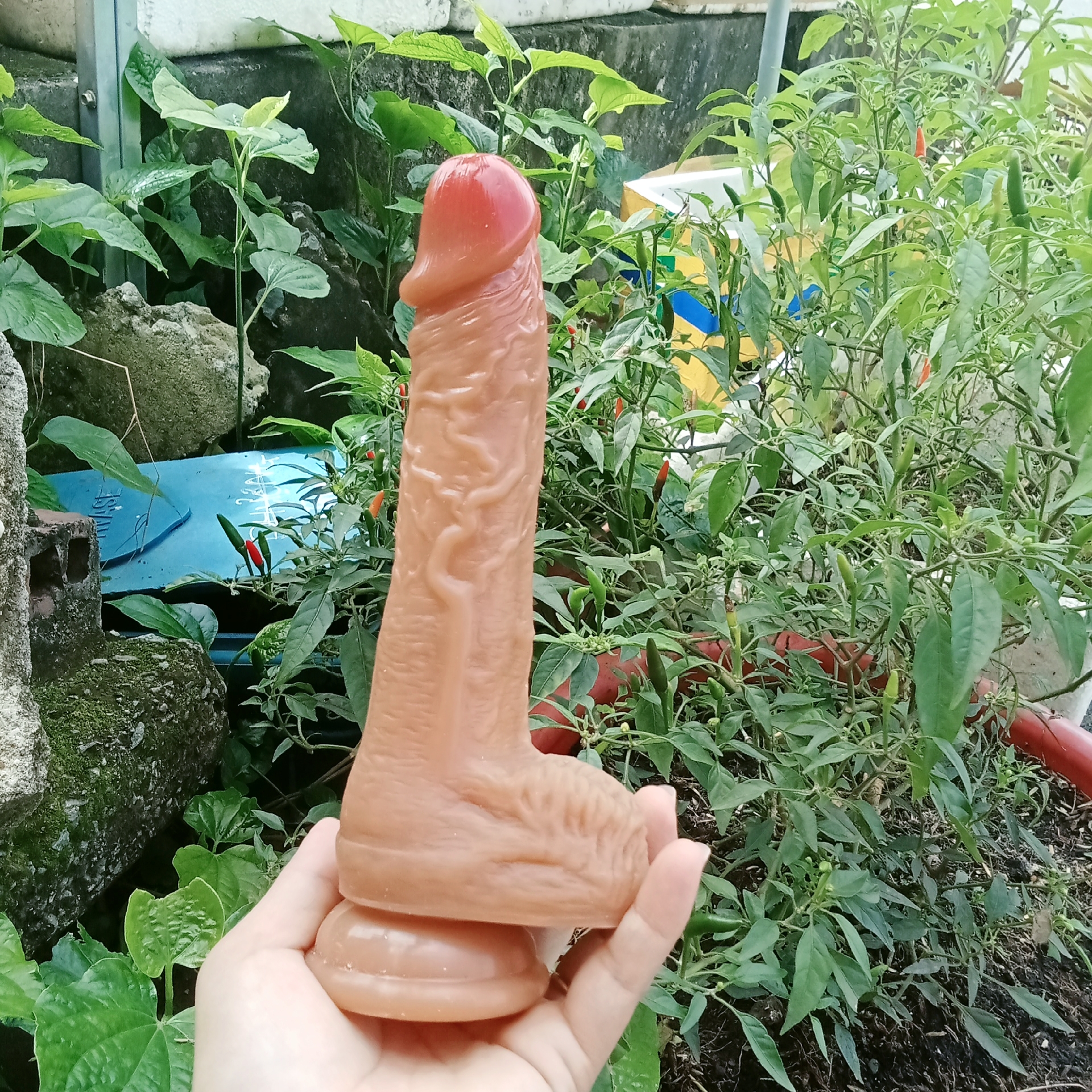 1000011709.jpg