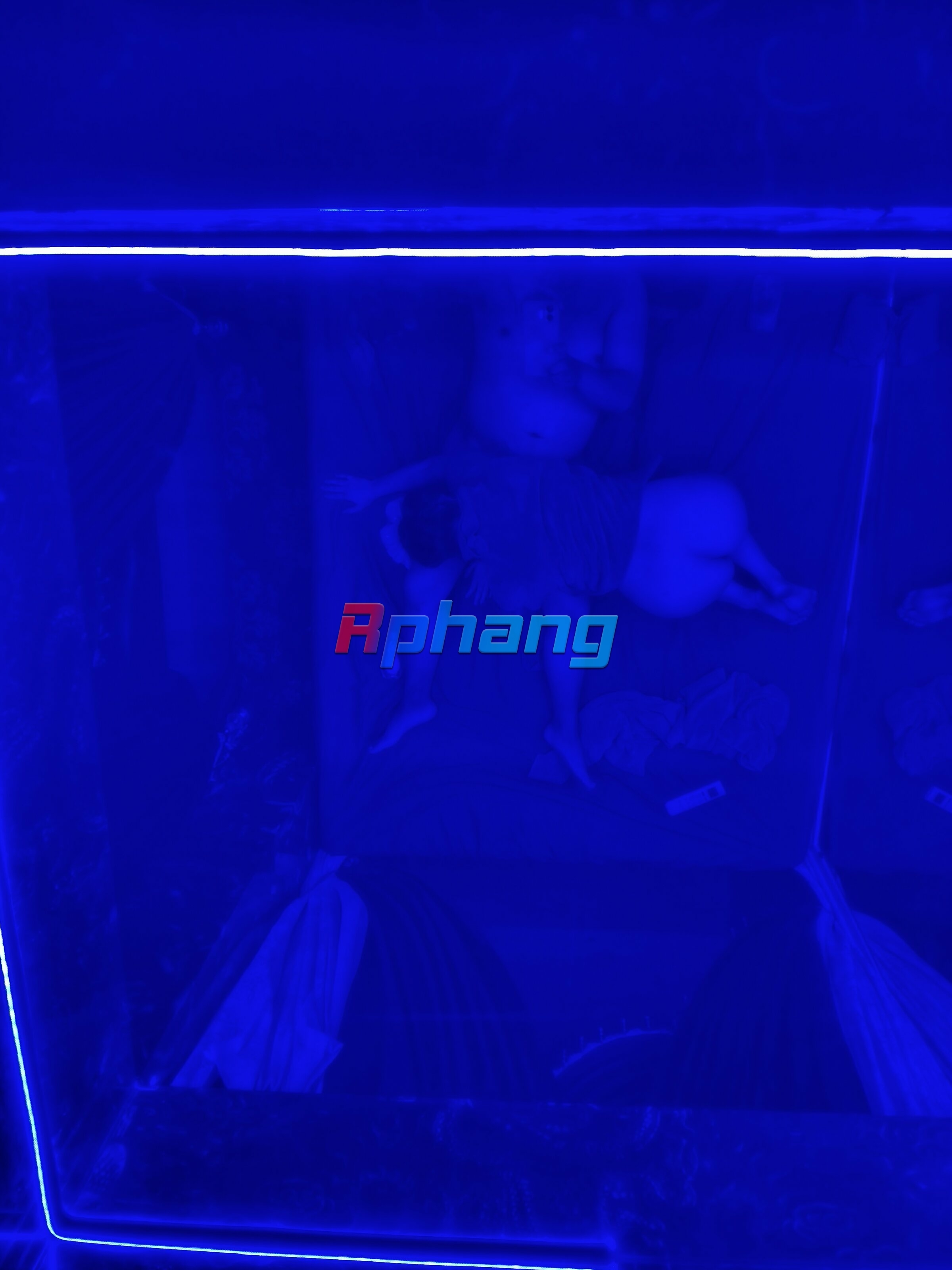 IMG20251201183515.jpg