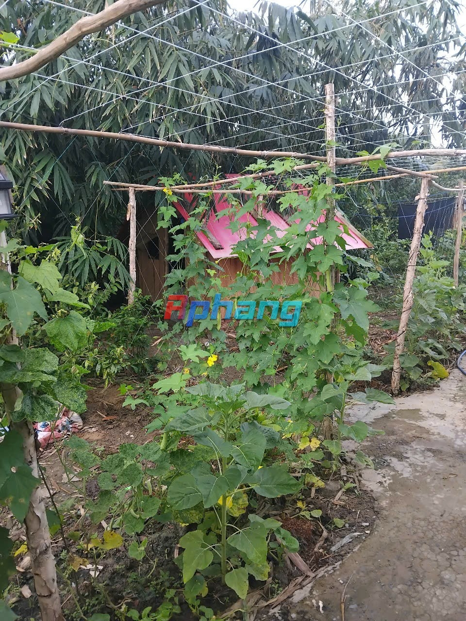 1000122484.jpg