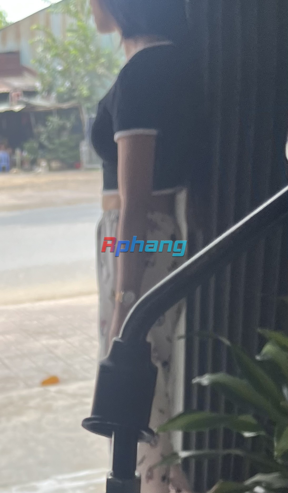 IMG_3144.jpeg