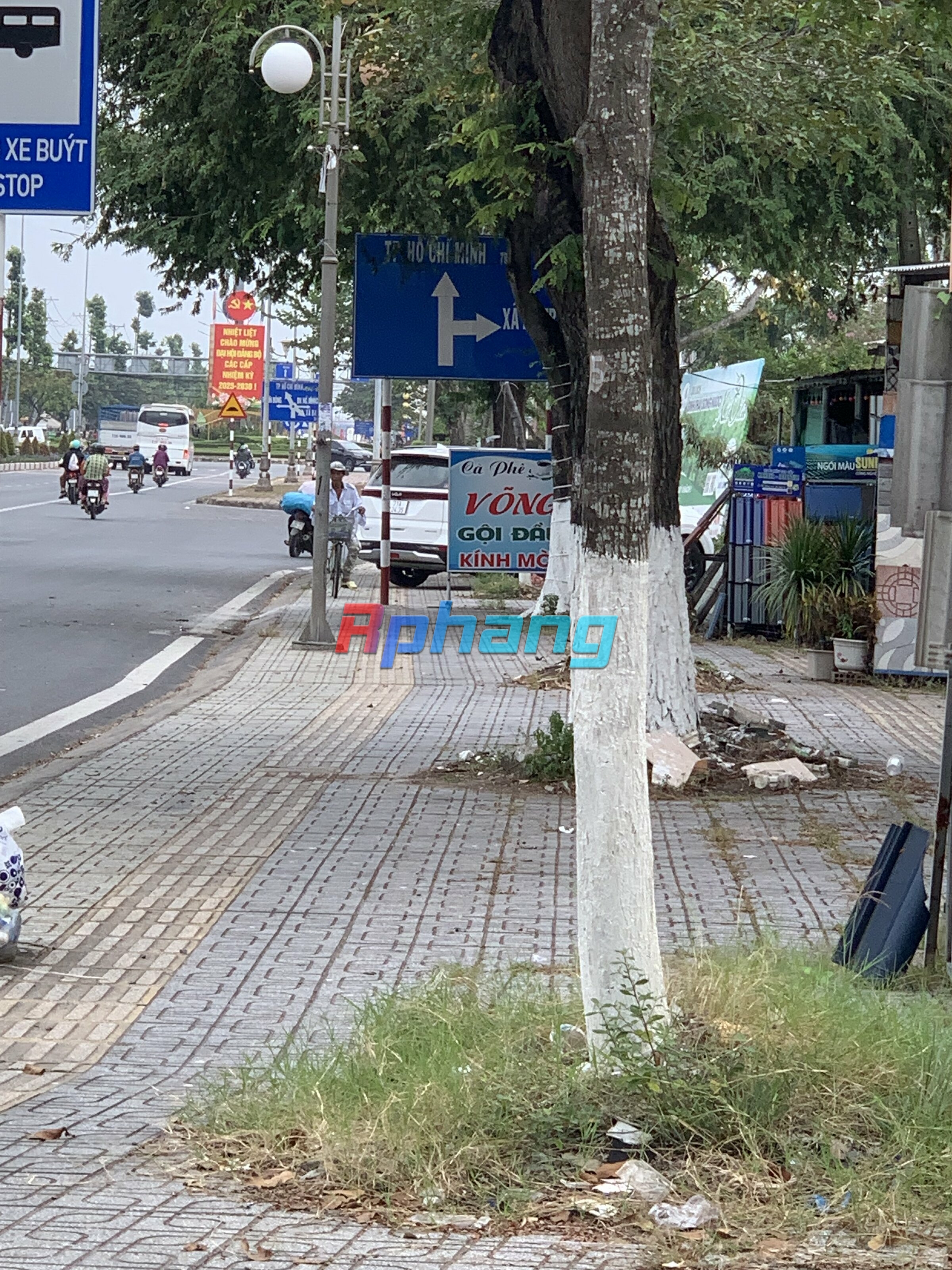 IMG_2293.jpeg