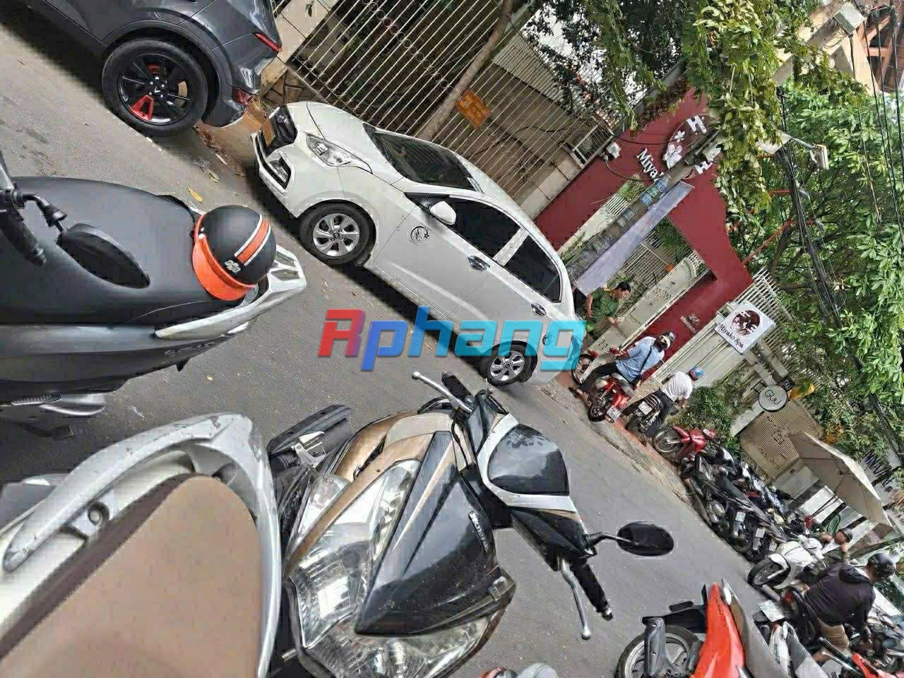 IMG_6887.jpeg