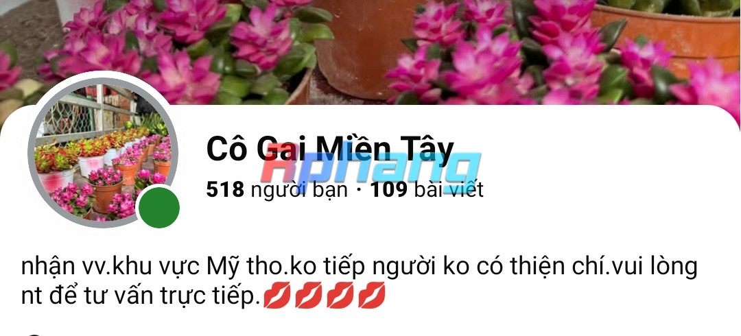 Screenshot_20260219-212156~2.jpg