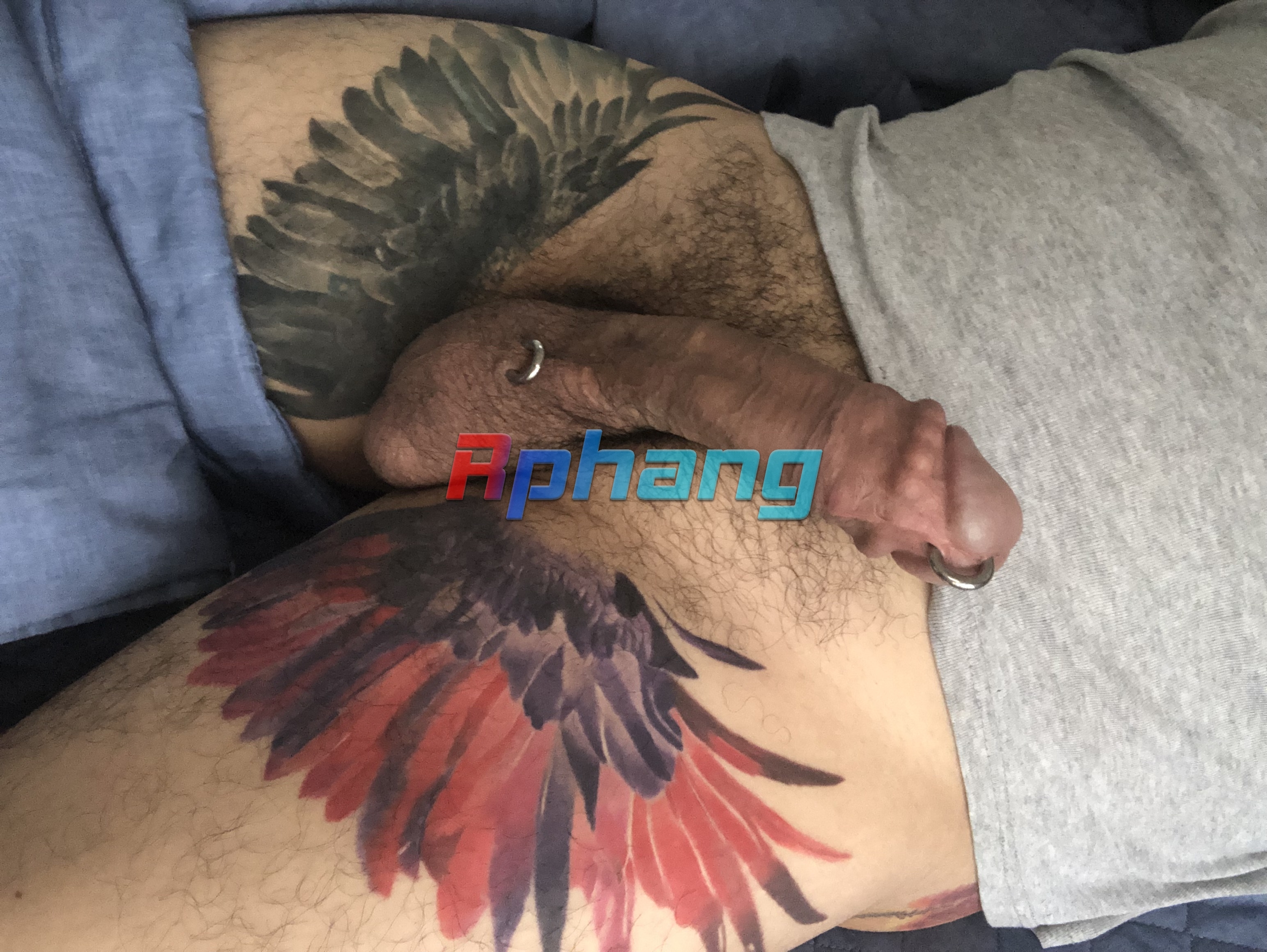 IMG_9349.jpeg