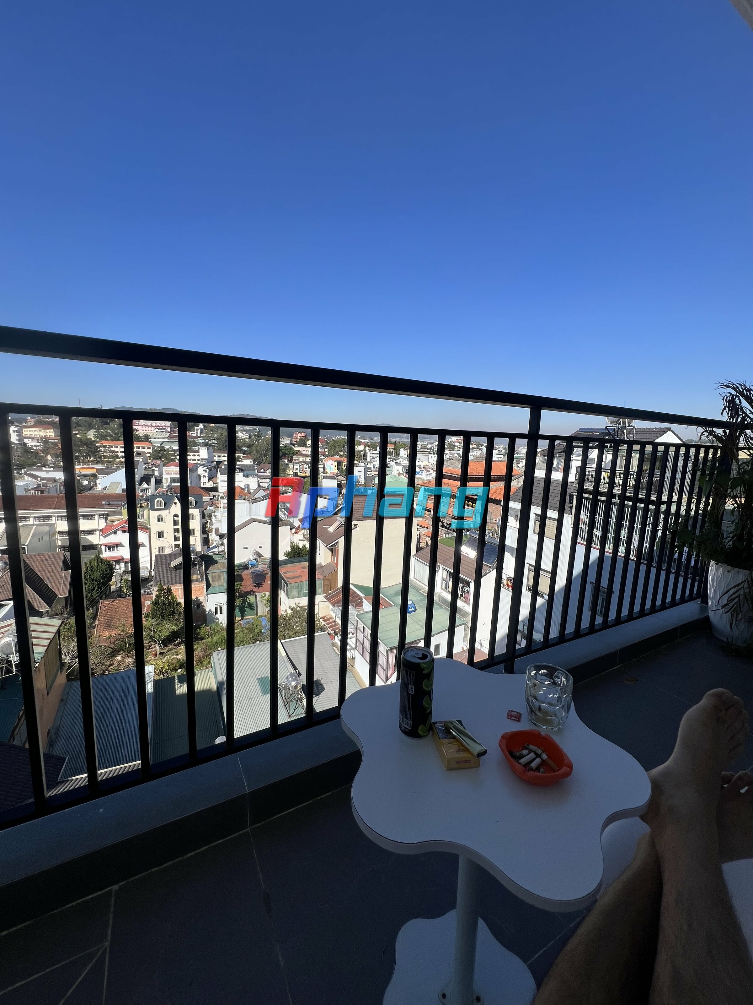 IMG_4172.jpeg