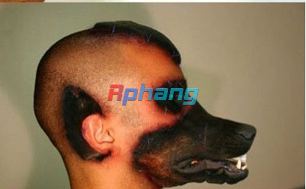 Sự thật về chàng trai phẫu thuật thành chó.jpg