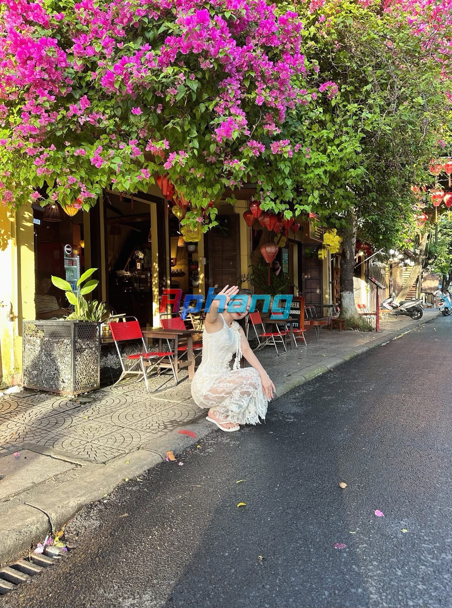 IMG_4223.jpeg