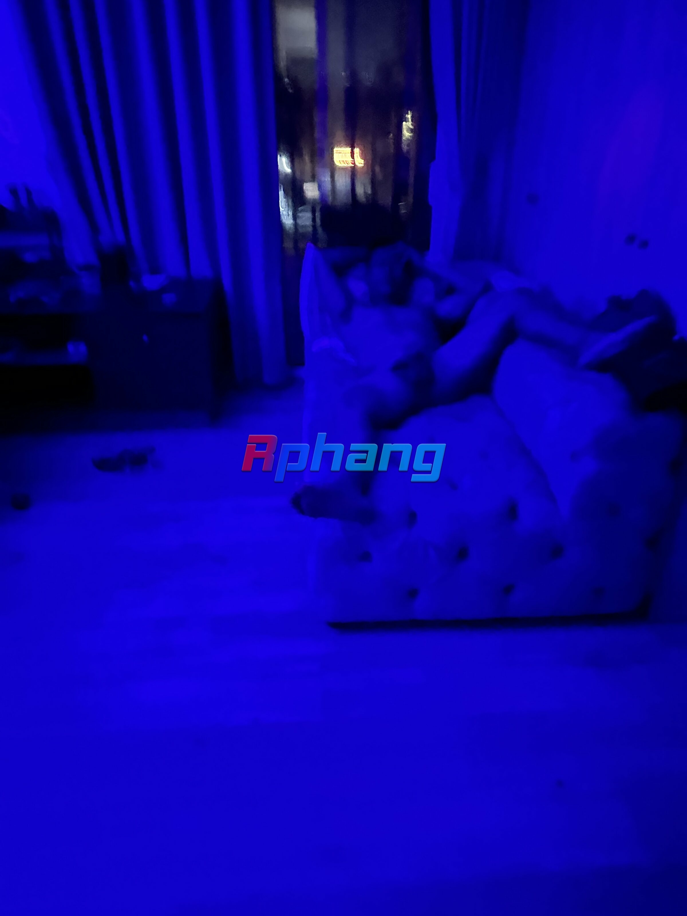 IMG_5318.jpeg