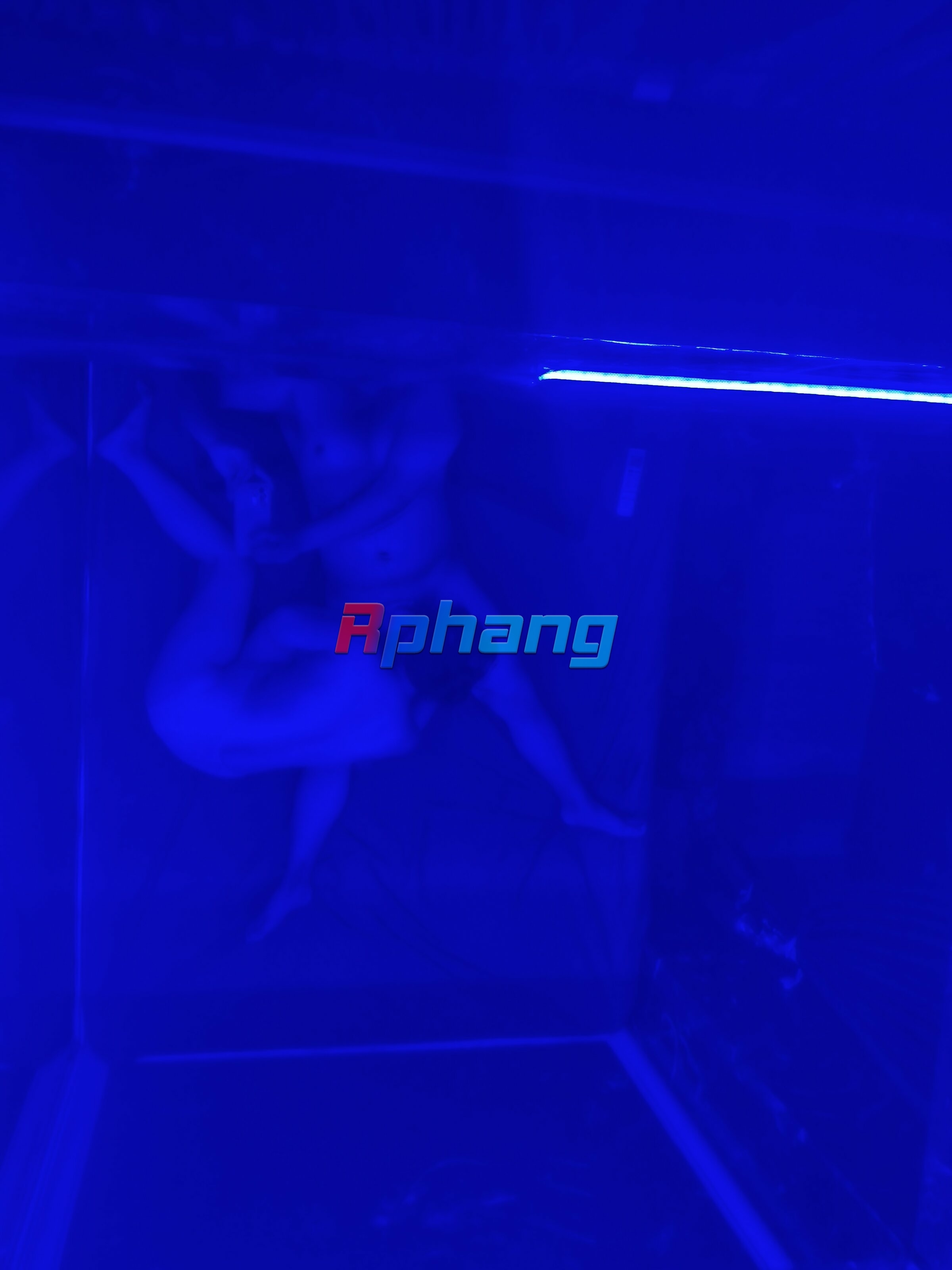 IMG20260411202627.jpg