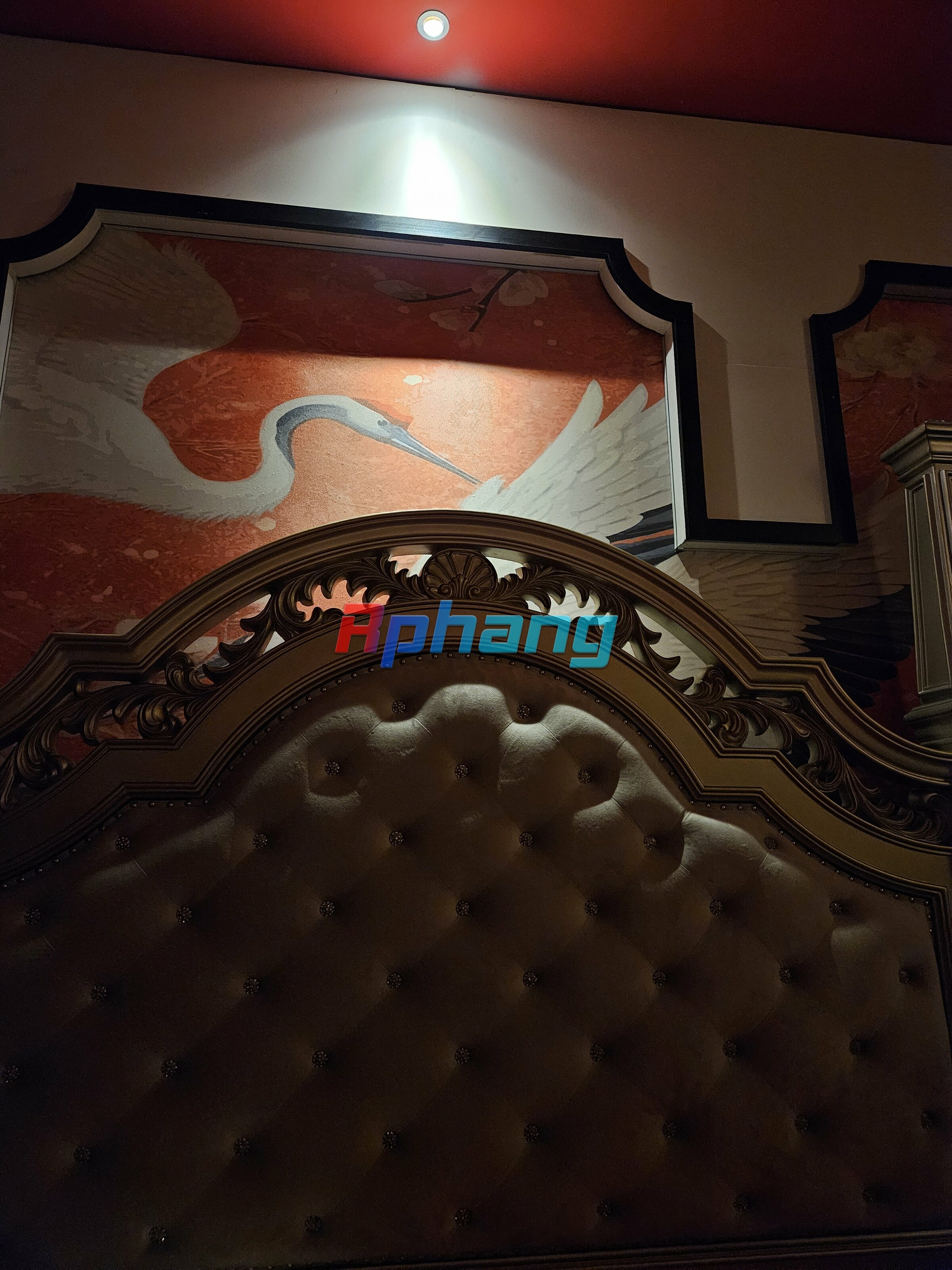 1000003438.jpg