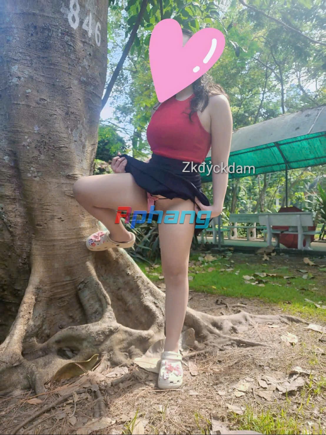 1000031940.jpg