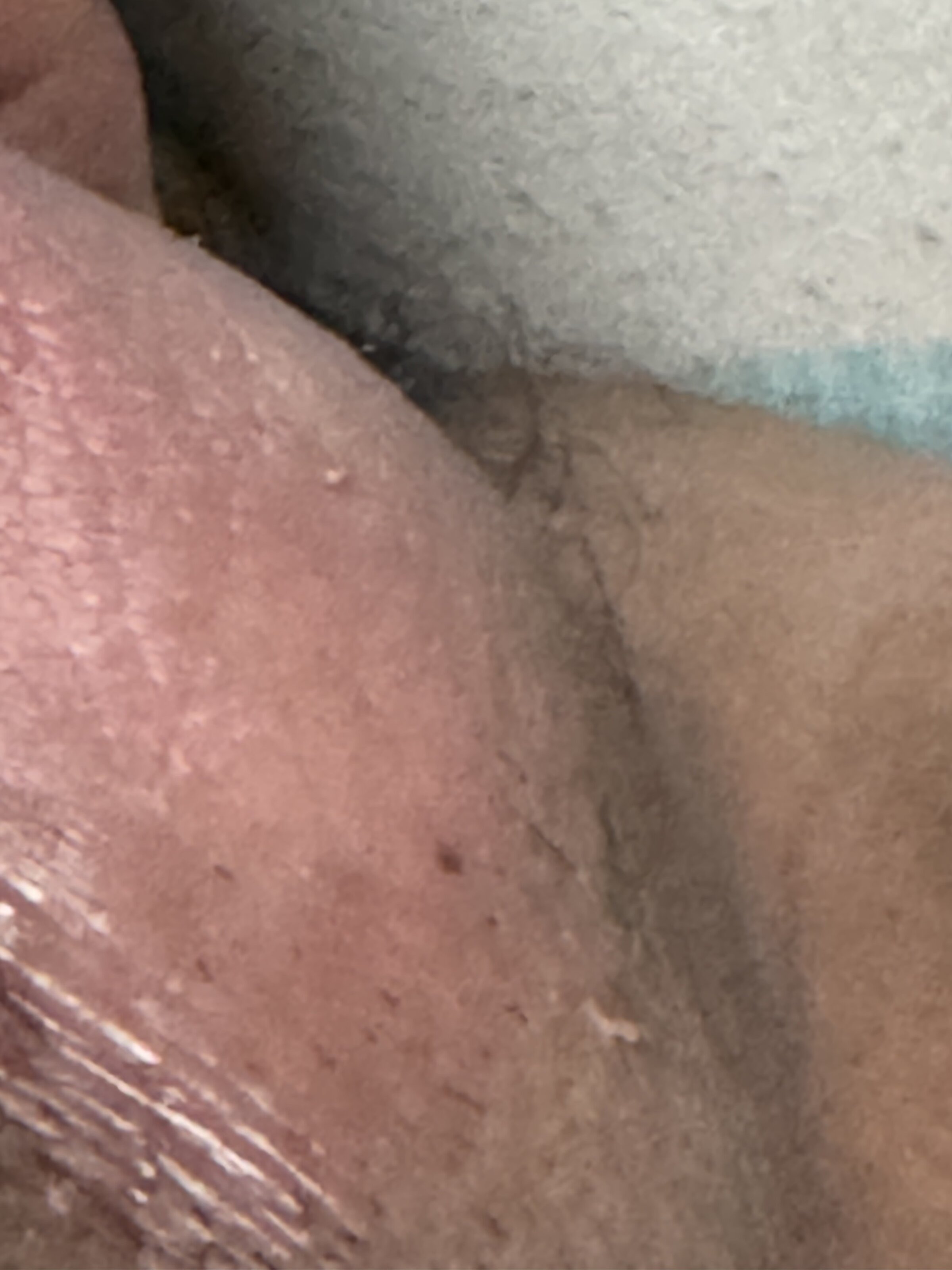 IMG_5159.jpeg