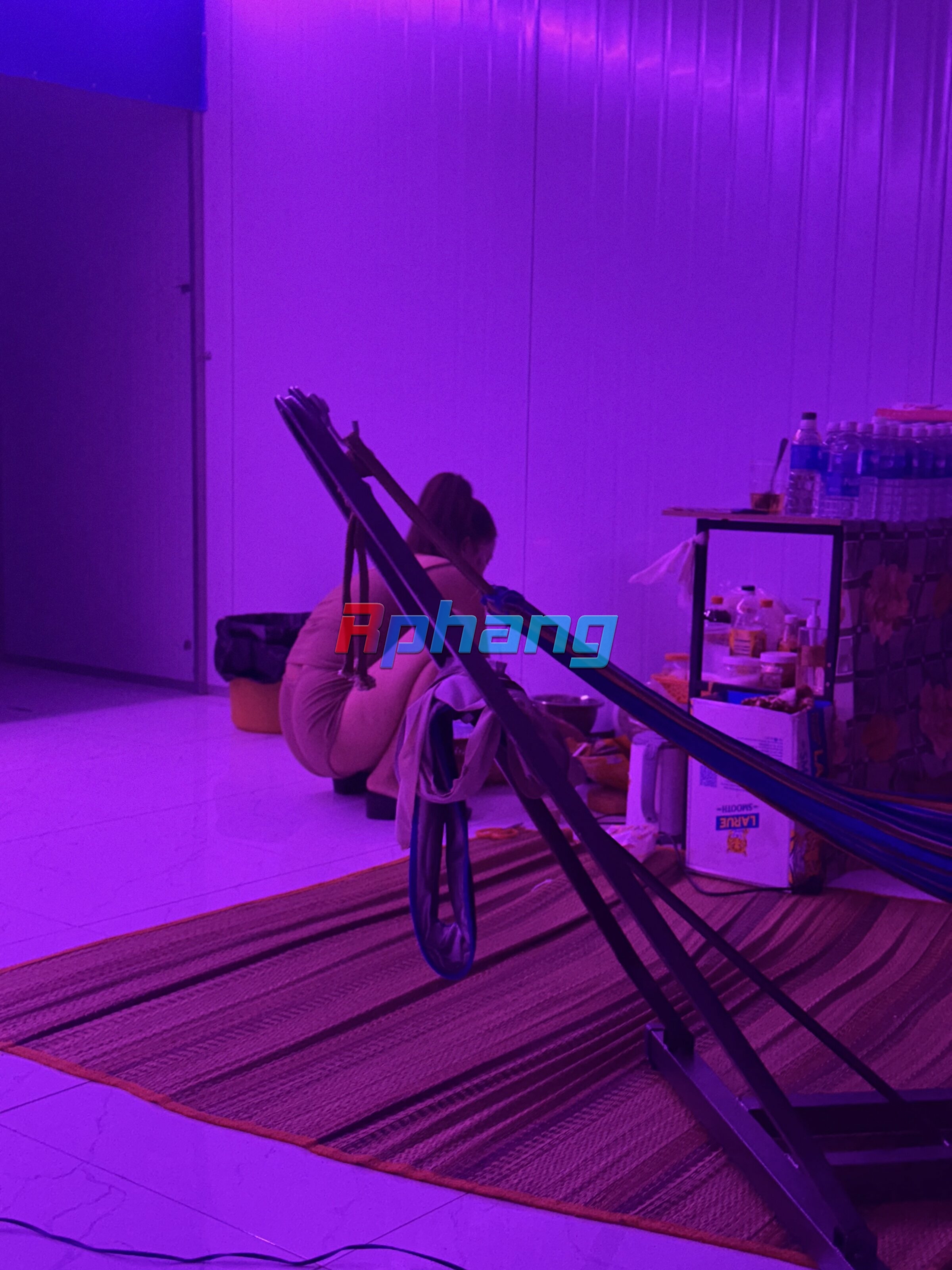 IMG_7833.jpeg
