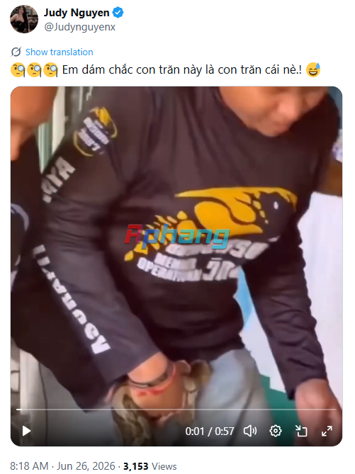 1782502517020.png
