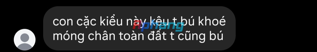 479.jpg