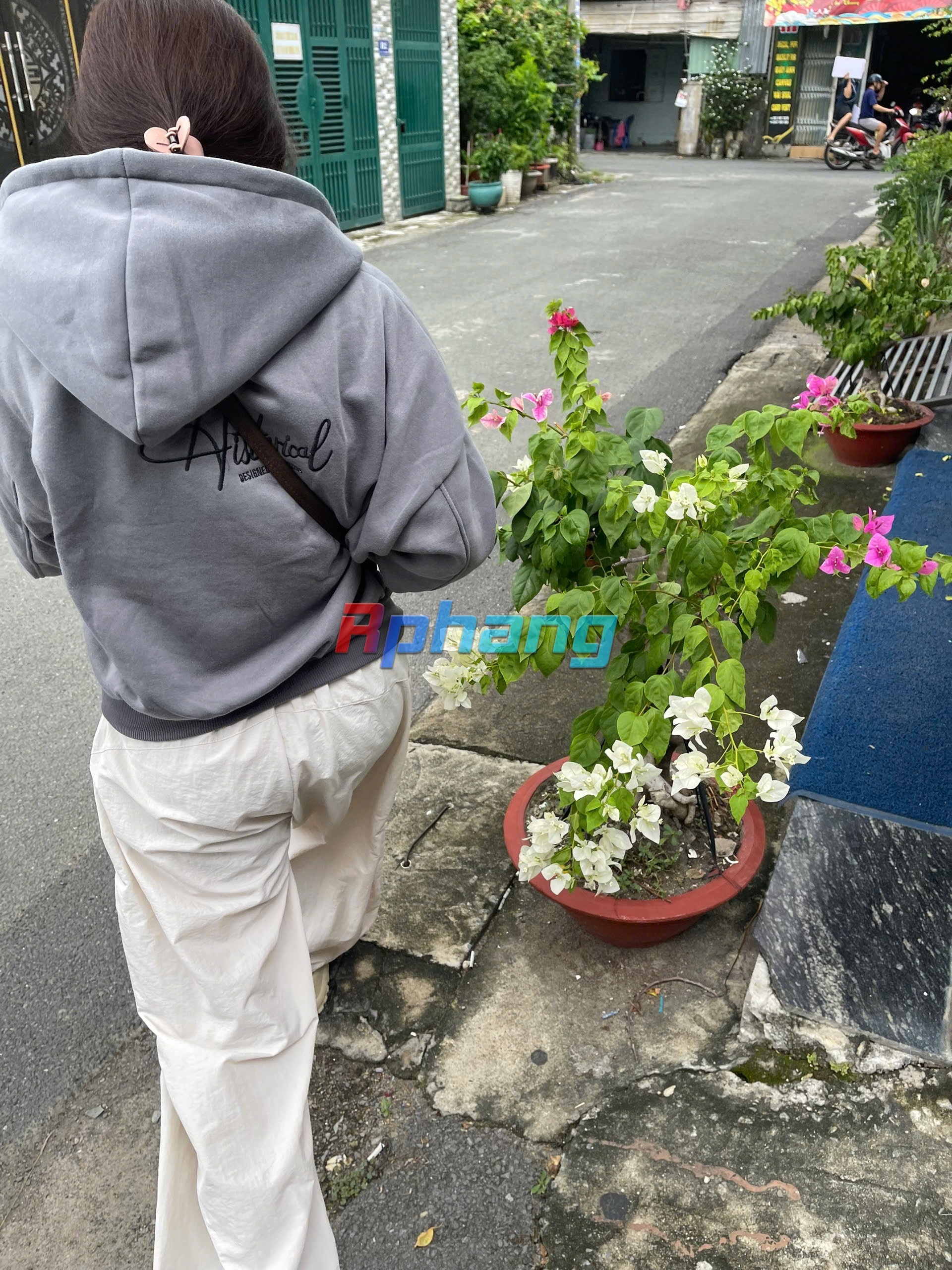 IMG_2373.jpeg