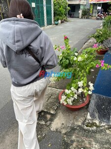 IMG_2373.jpeg