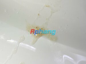 IMG_3675.jpeg