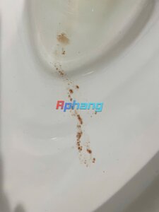 IMG_3676.jpeg