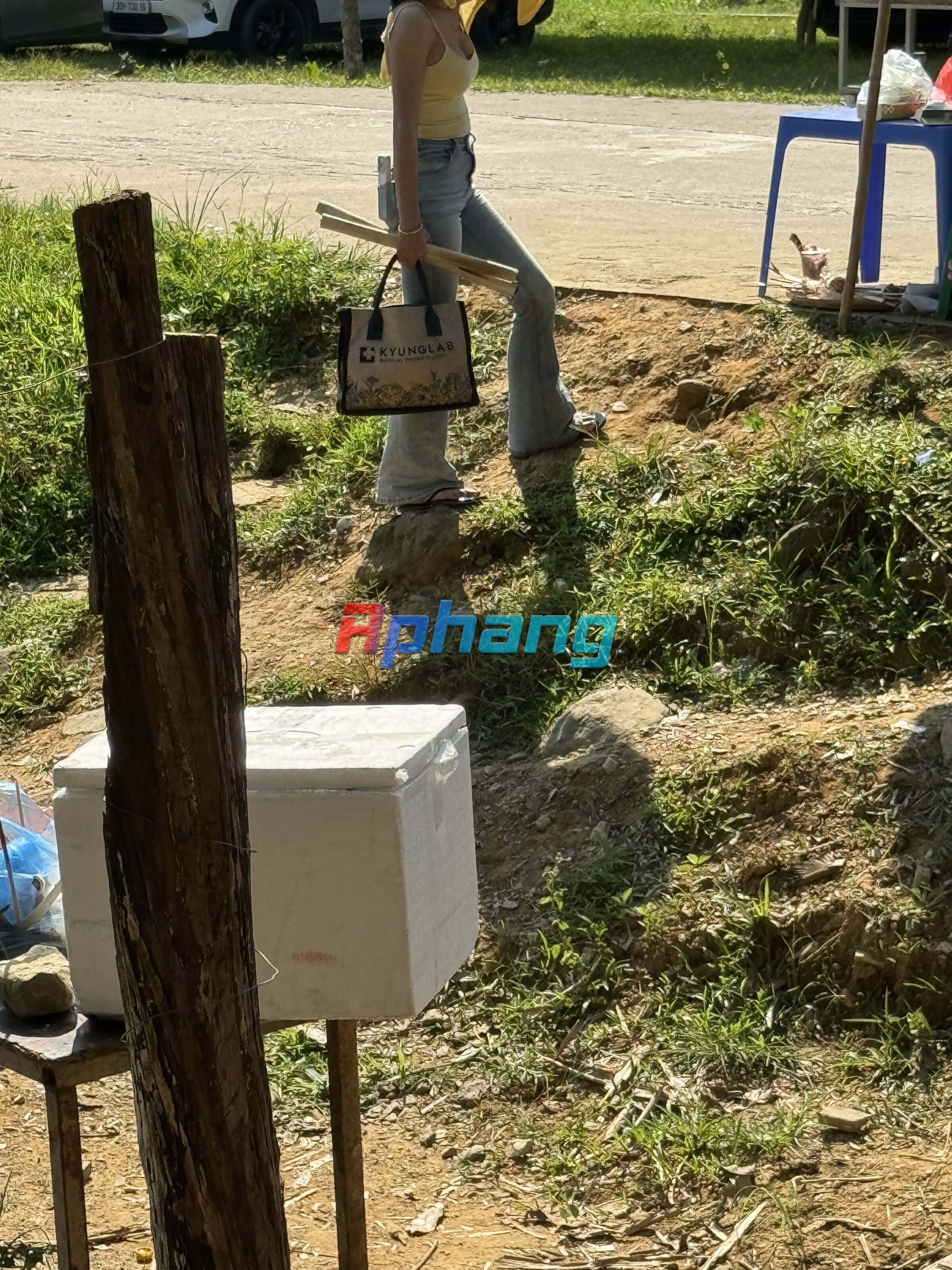 IMG_8382.jpeg
