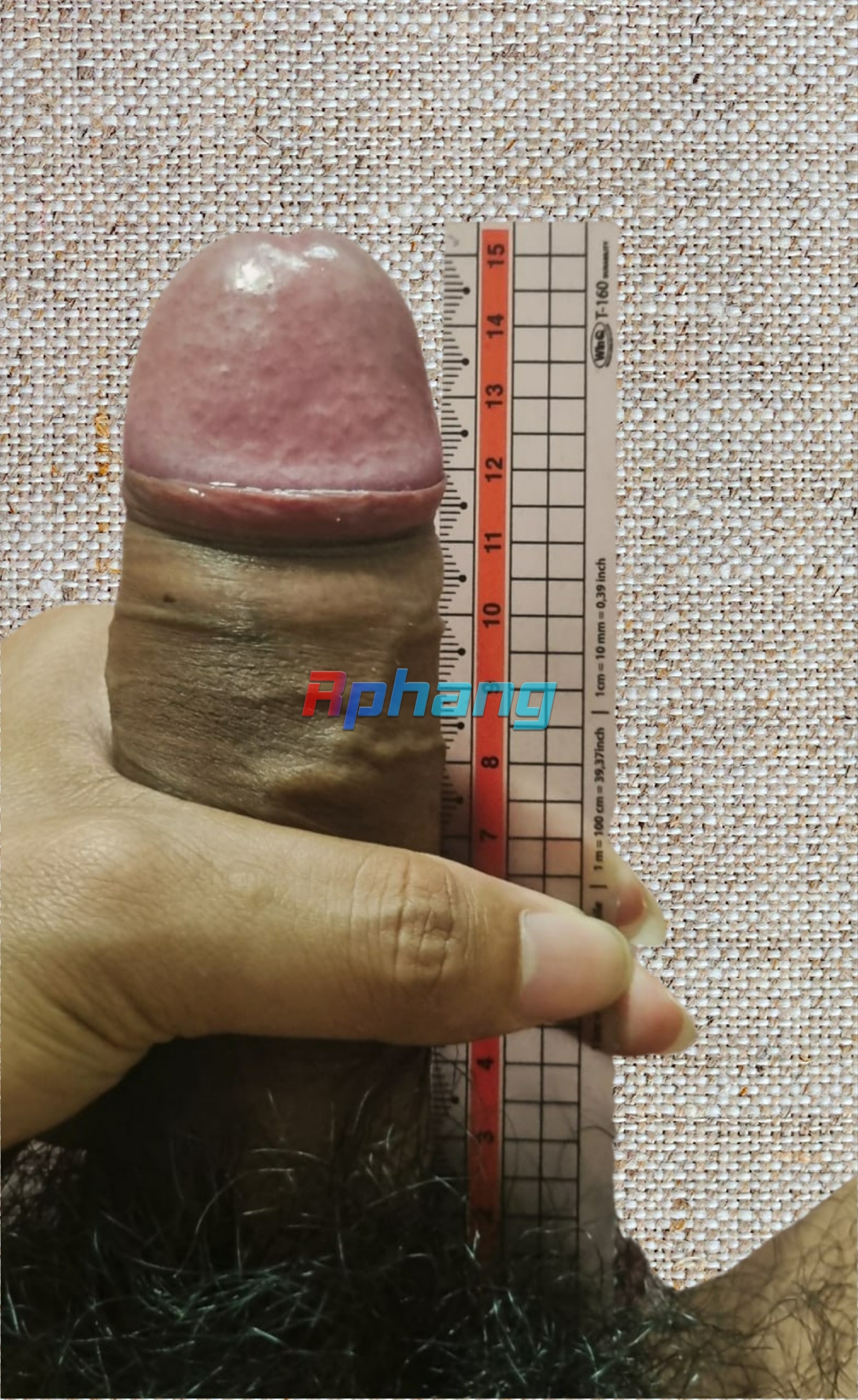 13759.jpg