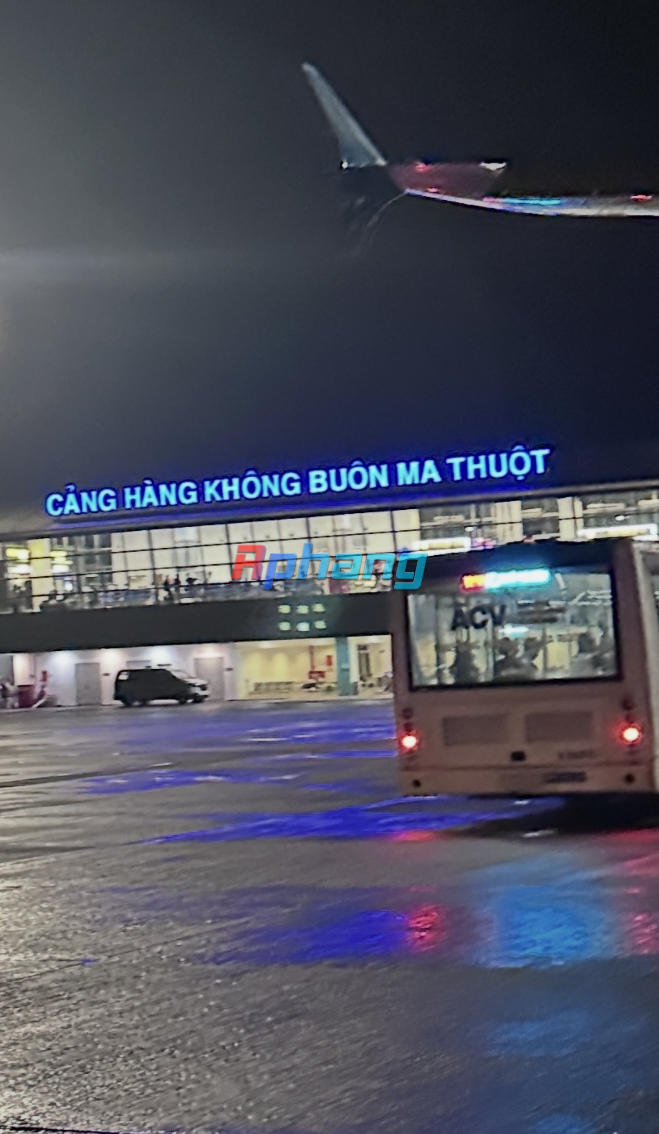 IMG_9368.jpeg