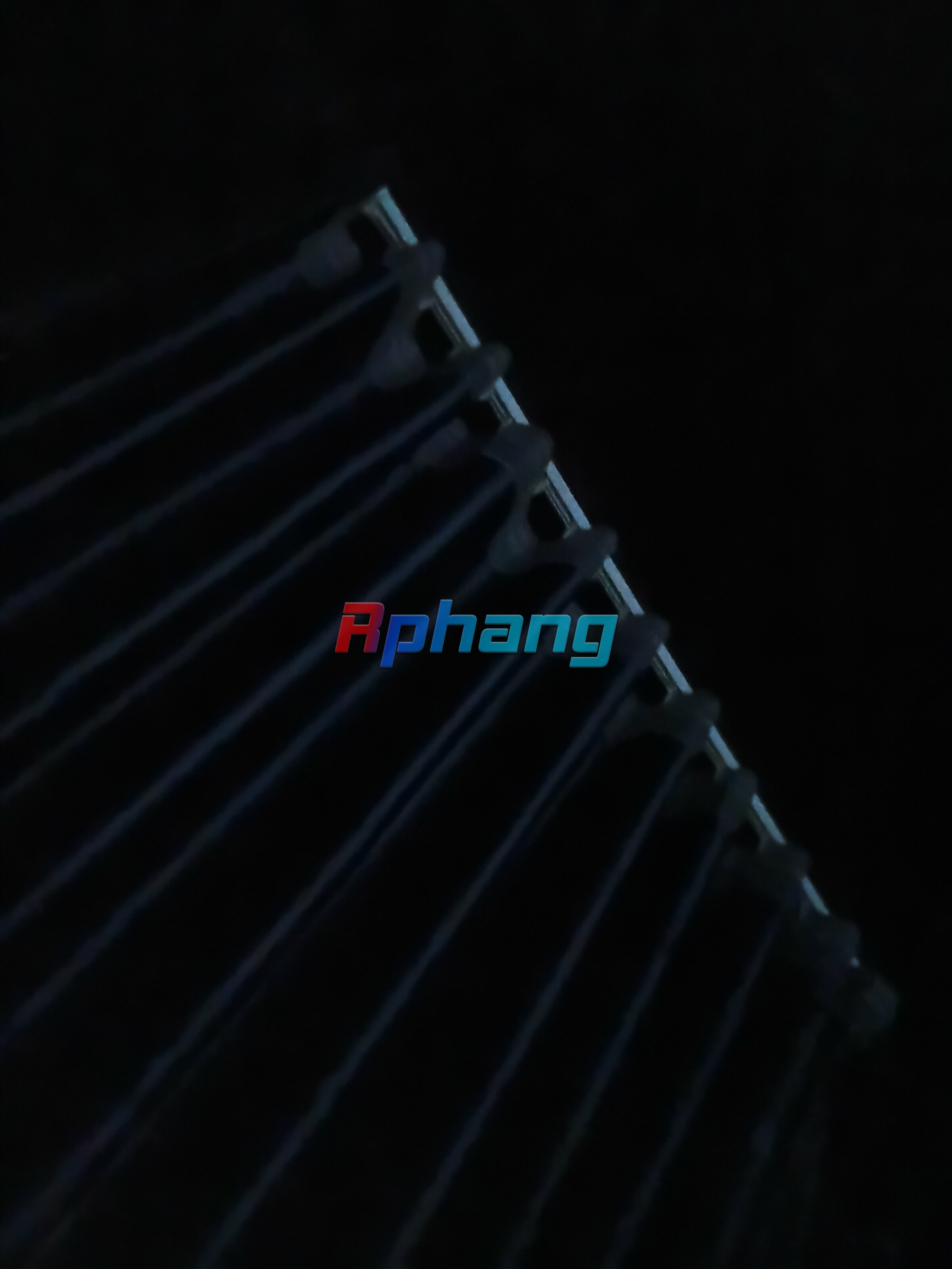 9772.jpg