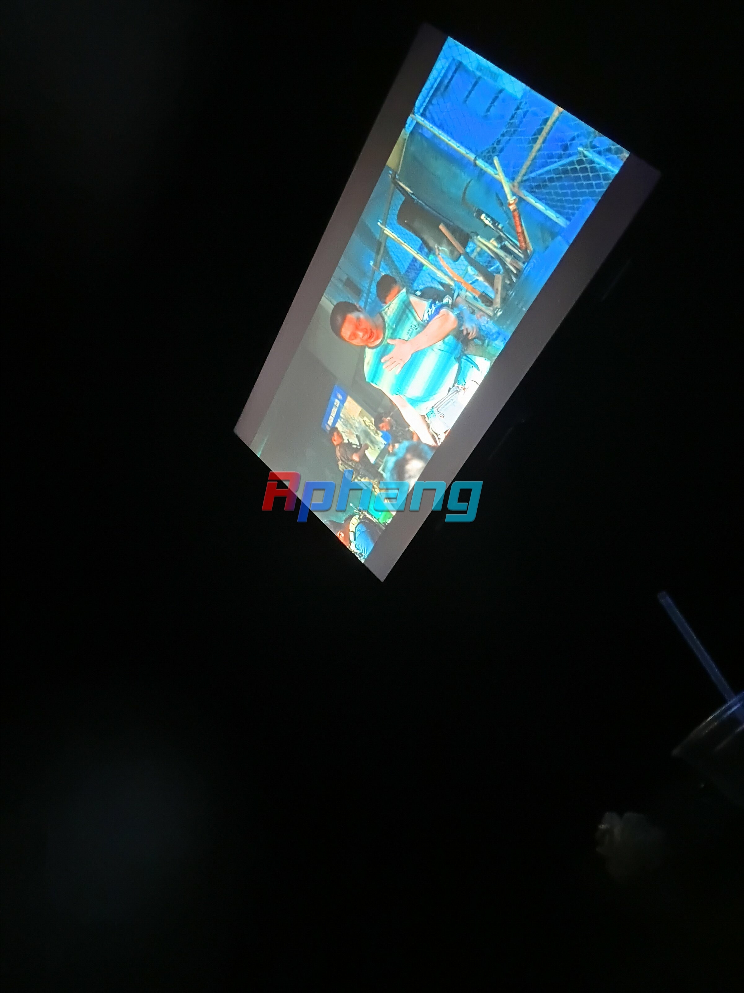 9768.jpg