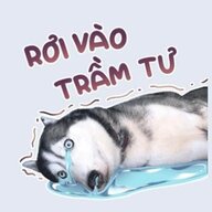 Longbb