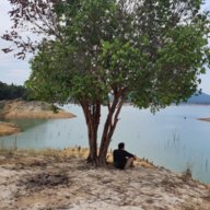 Discamp