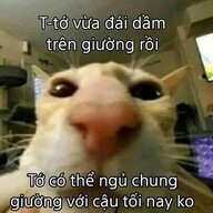 nhocluavnn