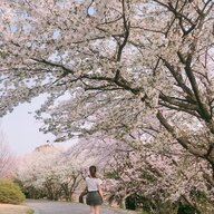 Jp aichi