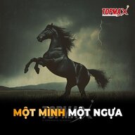 1 Mình 1 Ngựa