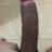cantran1591