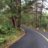 Deleted member 387980