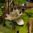 banhsukem